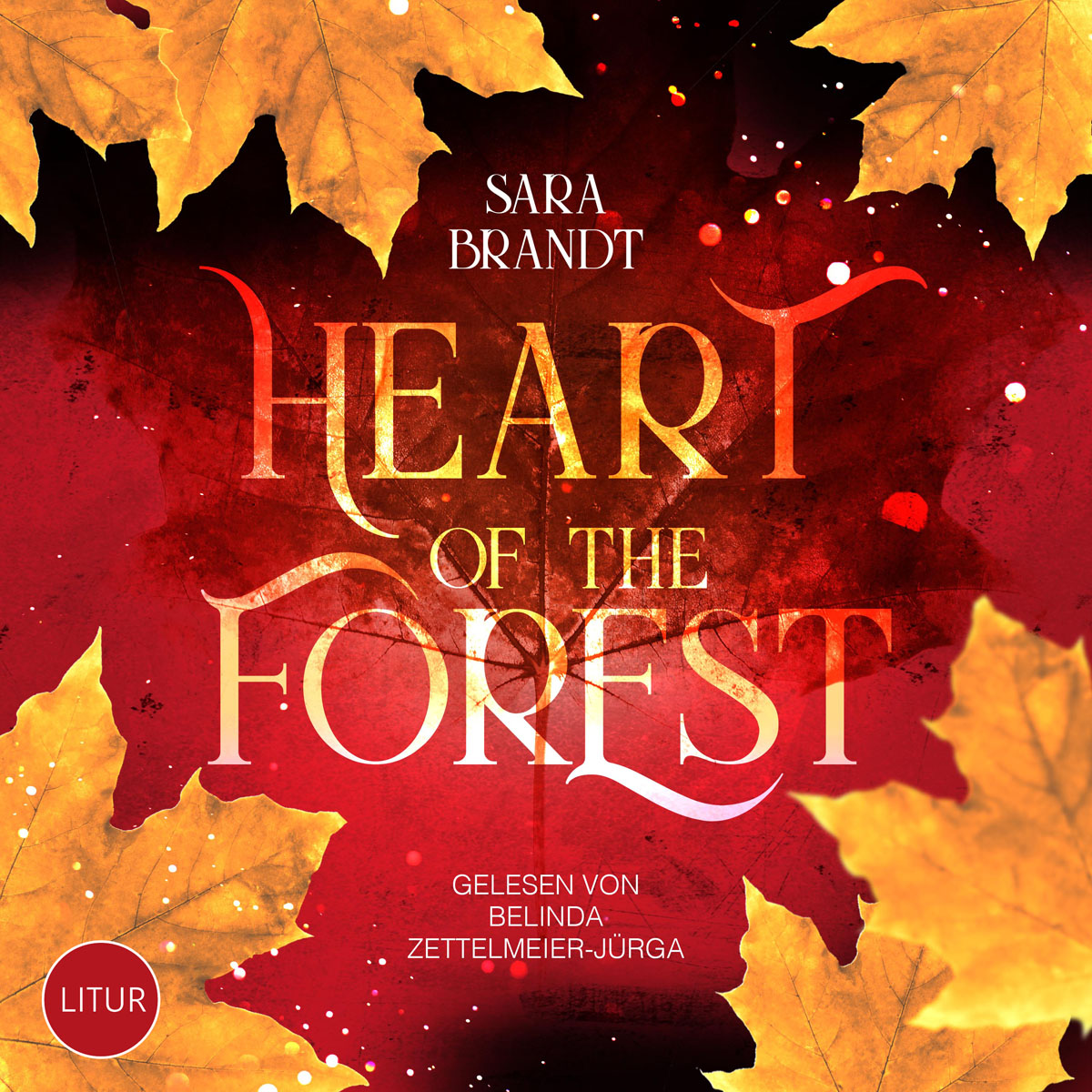 Sara-Brandt-Heart-of-the-Forest